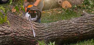 Best Lawn Irrigation Installation and Maintenance  in Opp, AL