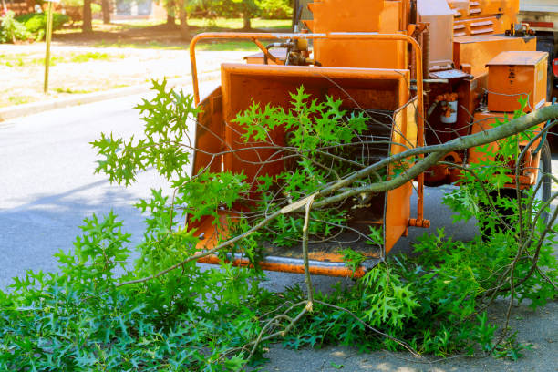 Best Tree Mulching  in Opp, AL